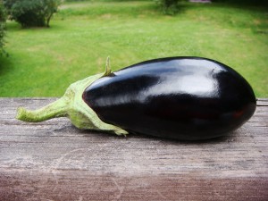 Our first eggplant - in early July!
