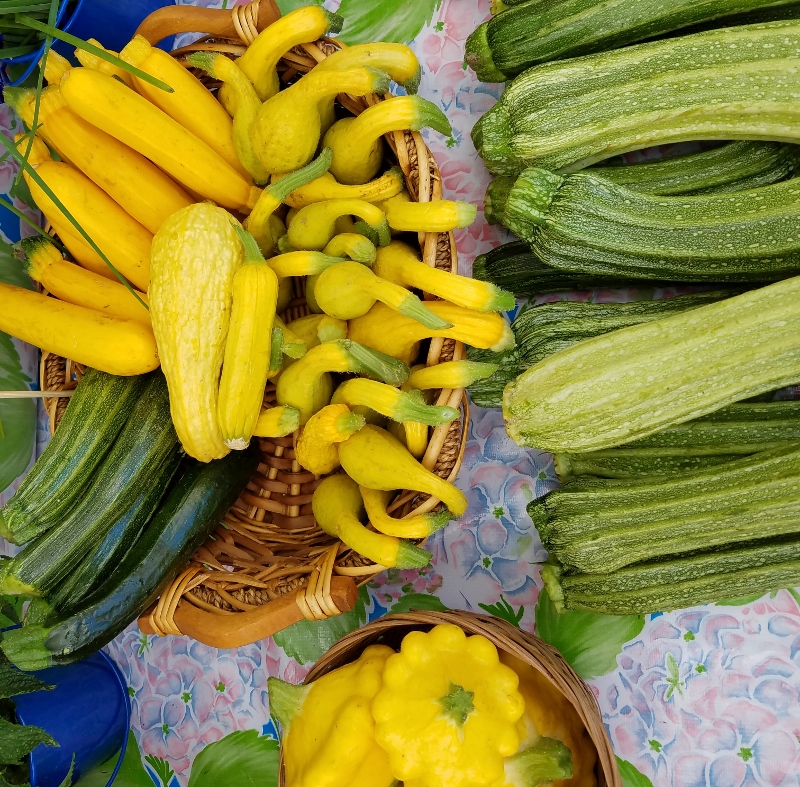 Summer_squash_mix_small